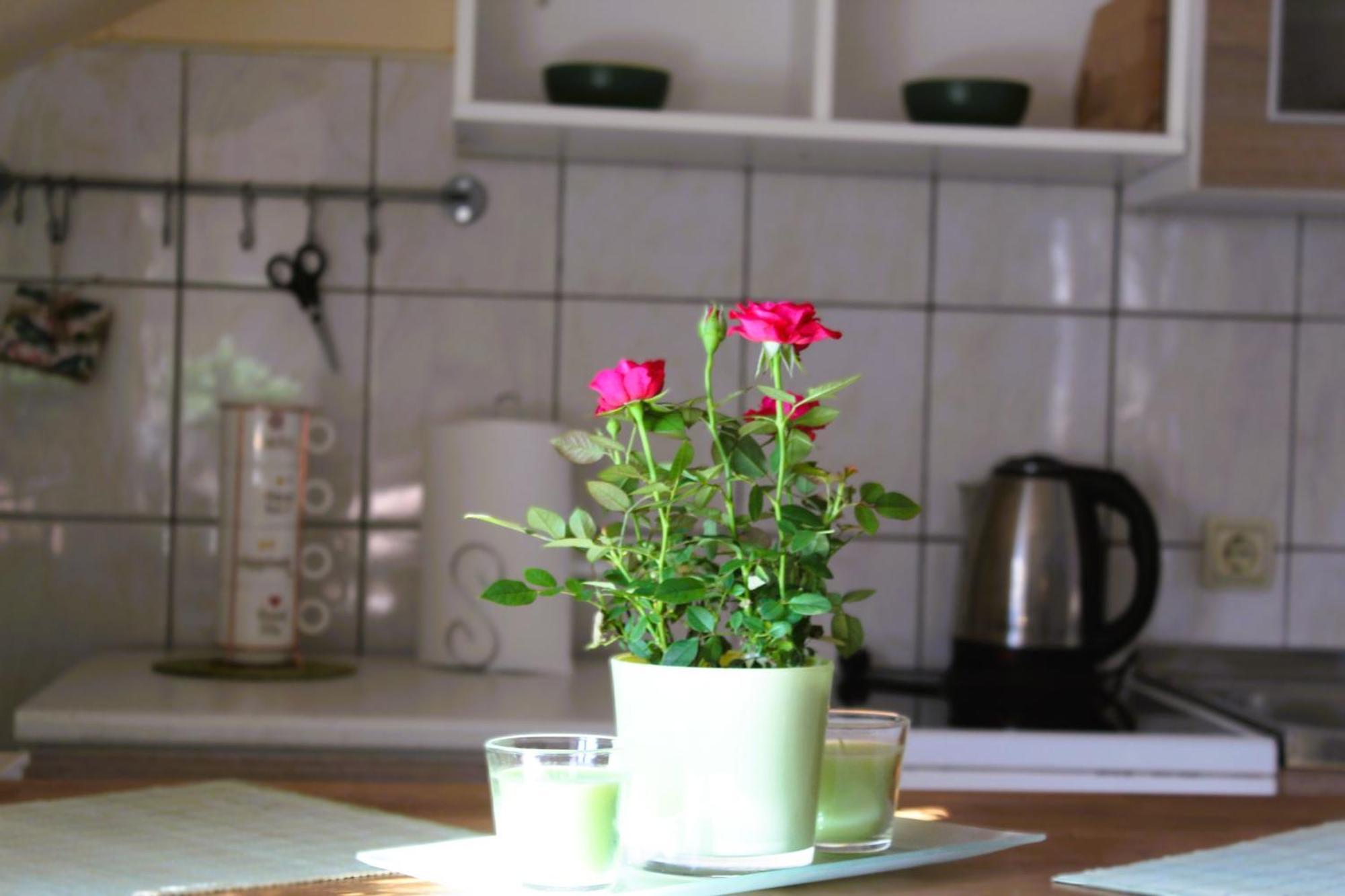 Svila Apartmani Бихач Экстерьер фото